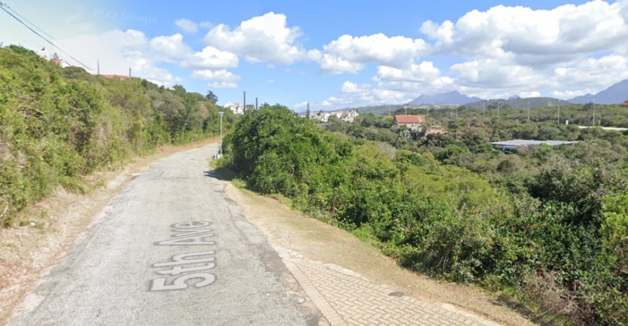 0 Bedroom Property for Sale in Wilderness Western Cape